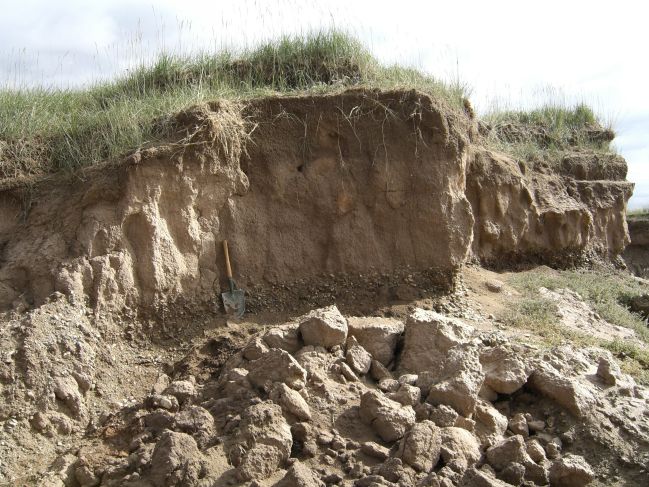  2006:09:03 22:26:30   Beach Sand onlapping  Loess in Beach Ridge Outcrop - East Side of Lake.jpg